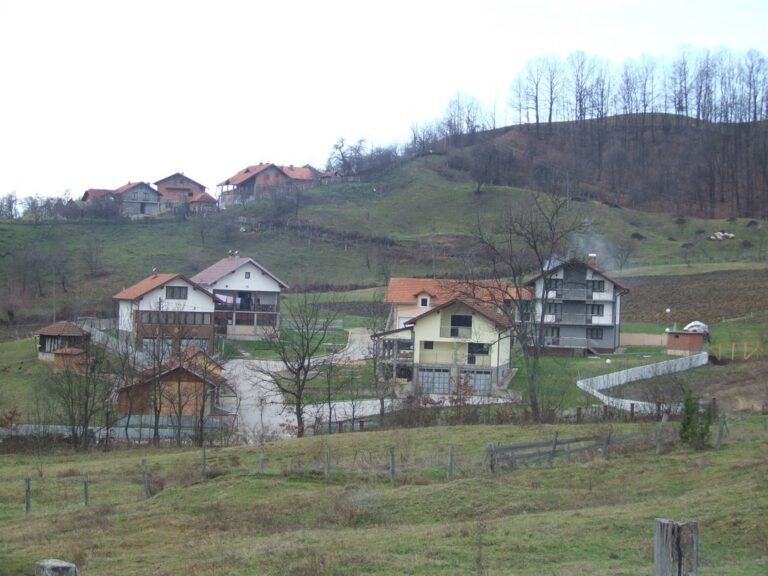 brusnica-selo-slika-2