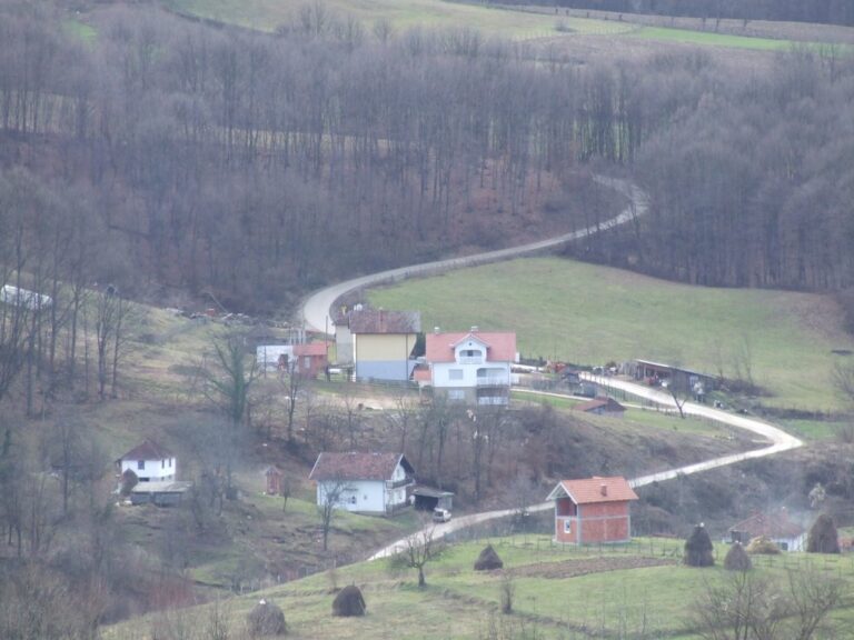 brusnica-selo-slika-1