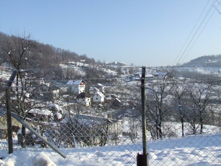 brusnica-selo-slika-3-zima