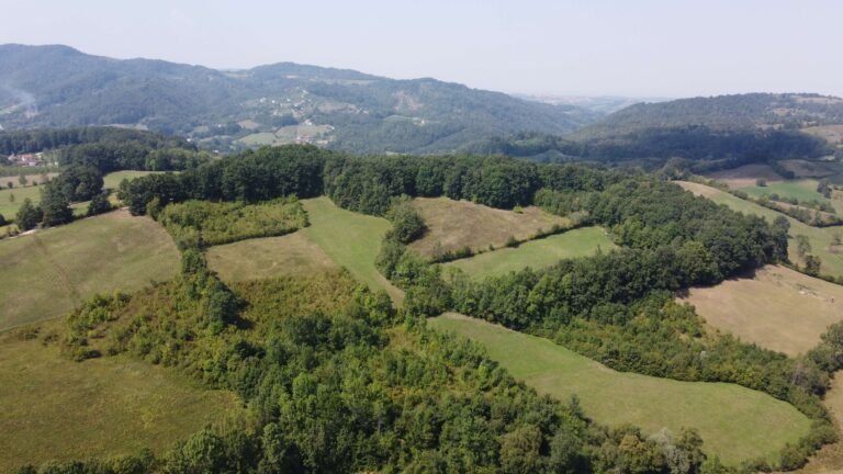 DJI_0455