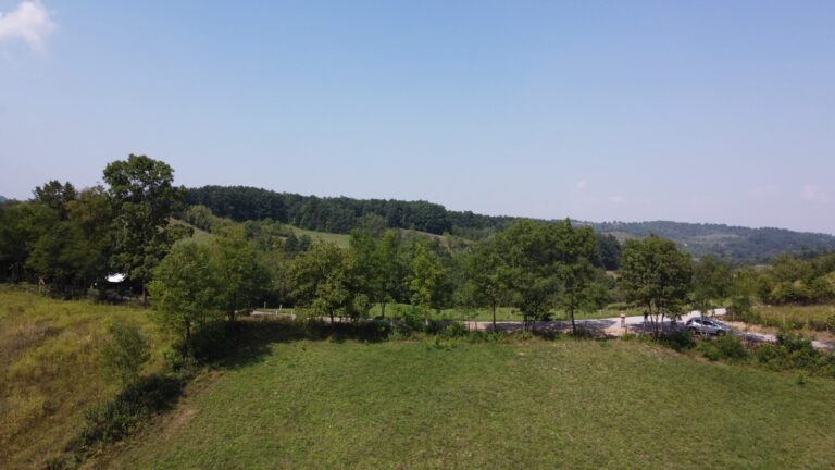 DJI_0461