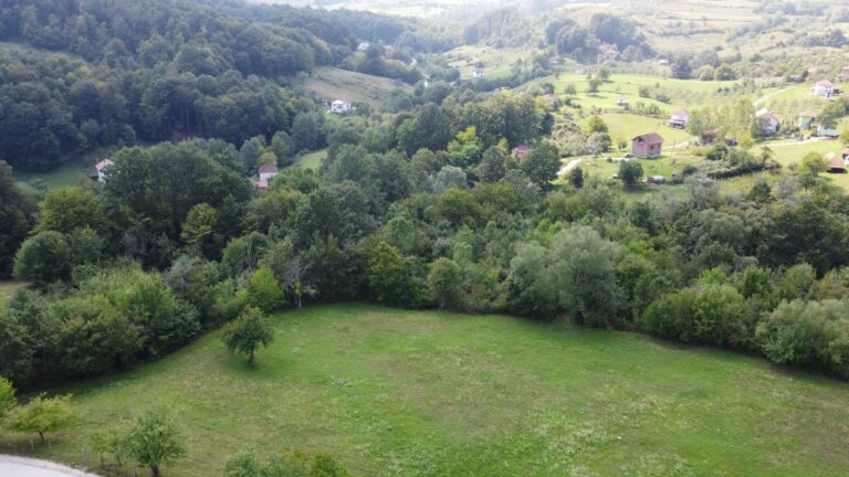 DJI_0499